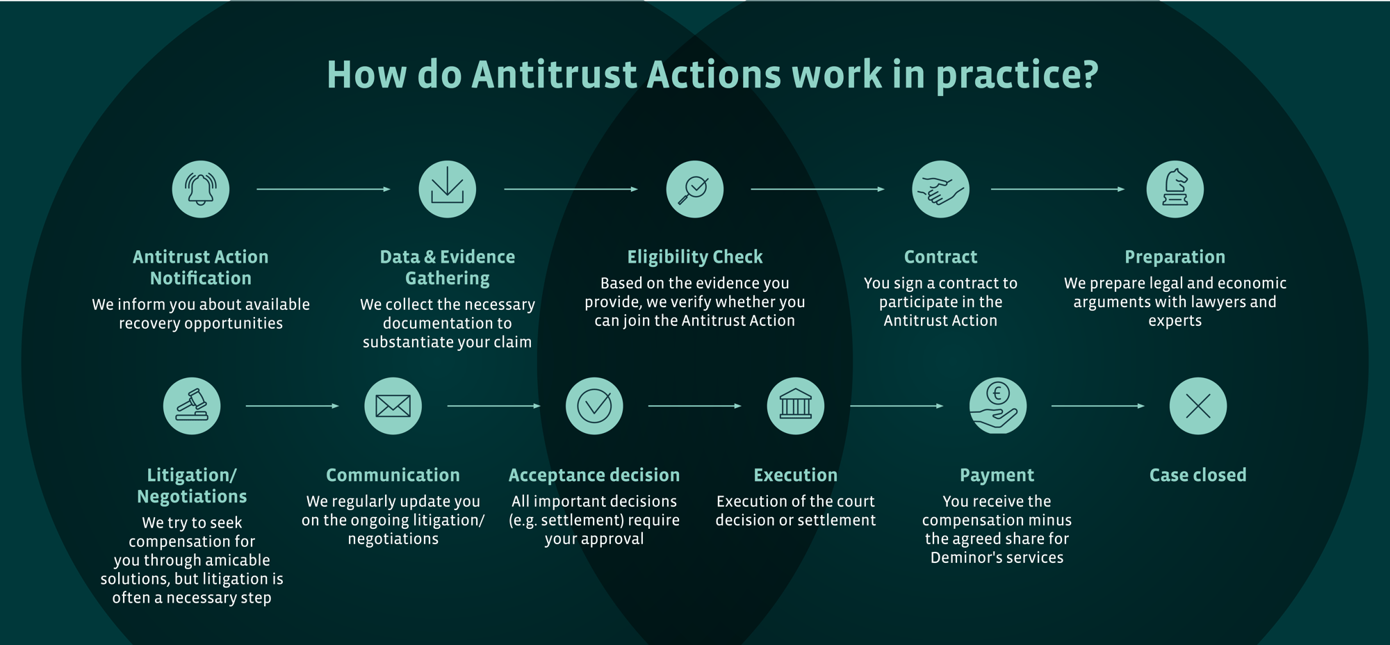 DEM-Antitrust Actions presentation - HOW THEY WORK