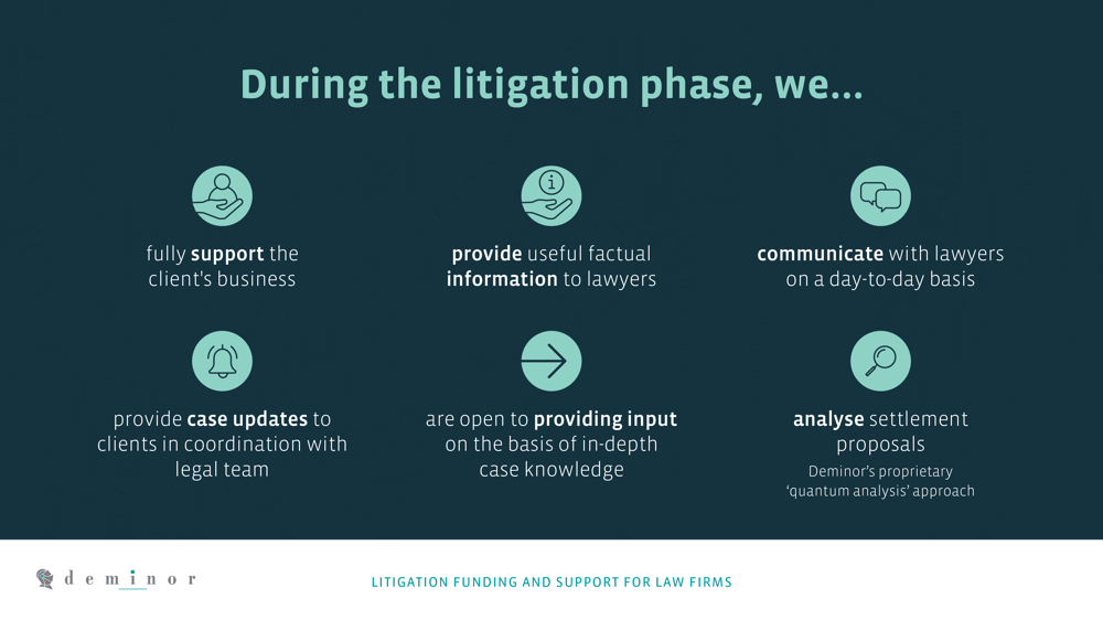 DEM-Litigation Funding And Support-Law firms - litigation phase