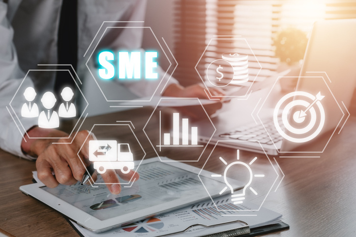 SME, Small and medium-sized enterprises